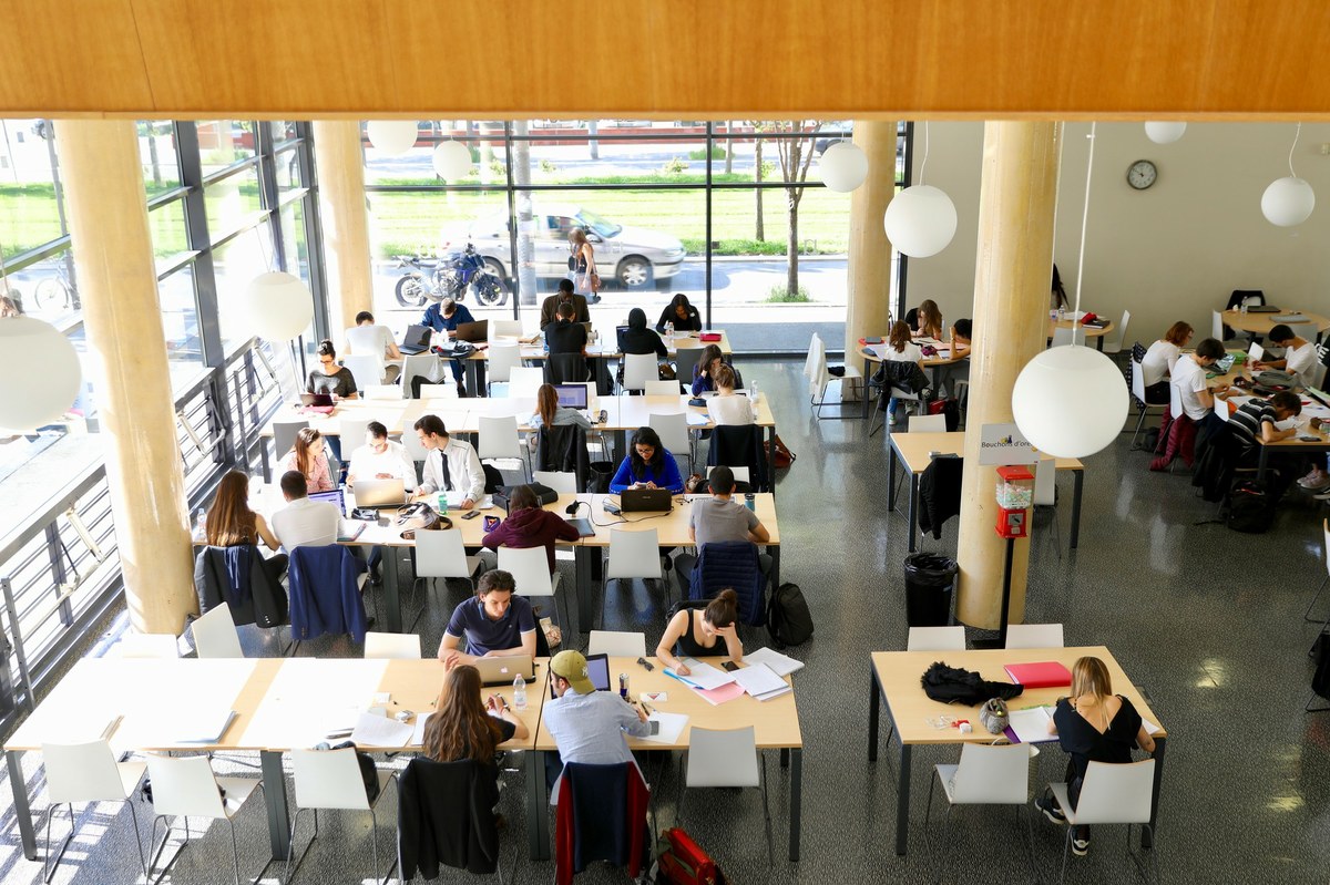 Bibliothèque remplie de monde