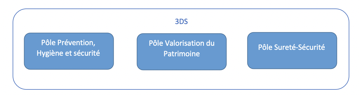 organigramme 3DS