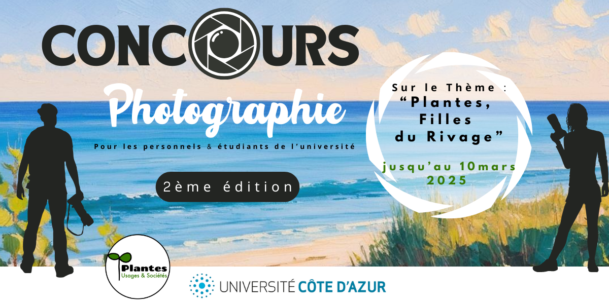 Concours Photo