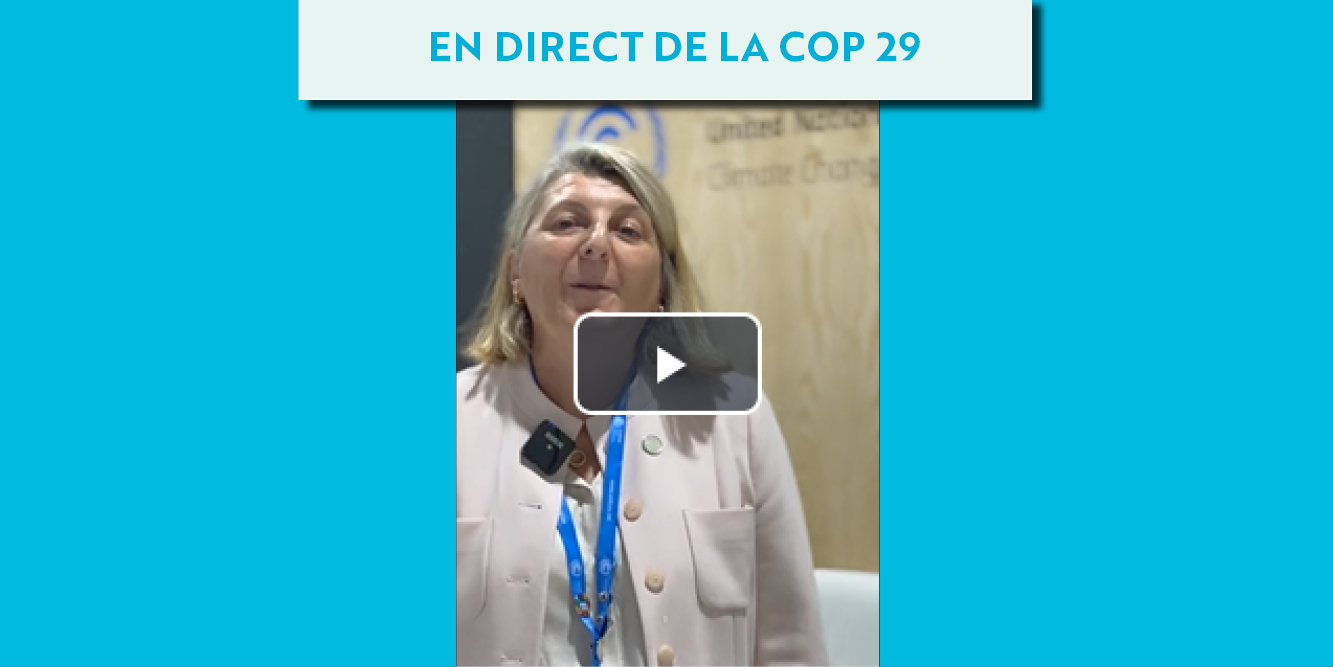 COP 29