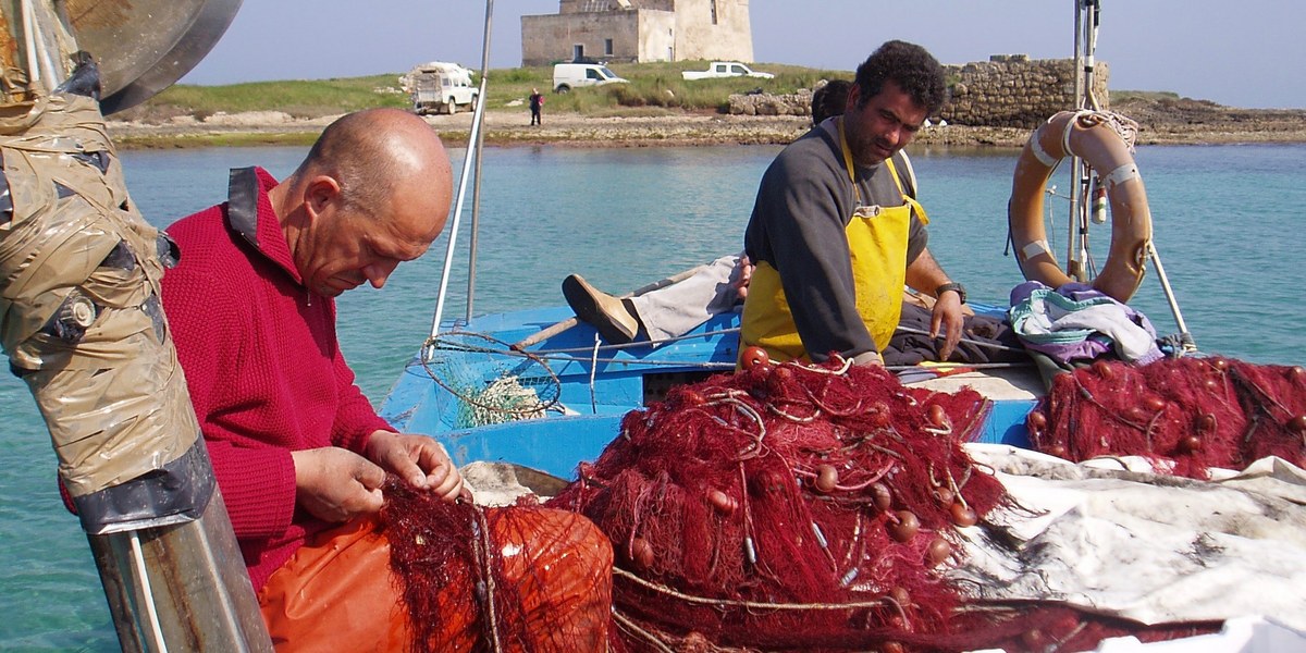 pêcheurs vidant leurs filets