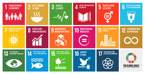 Les objectifs de développement durable de l'ONU