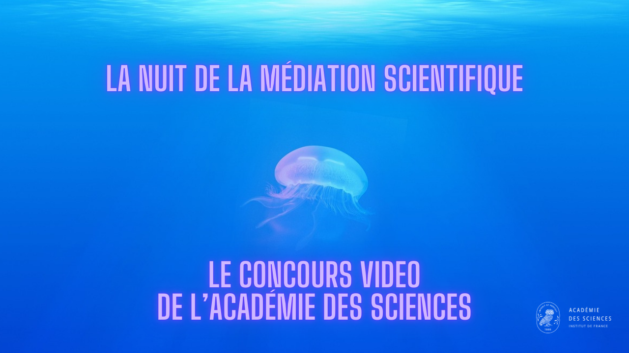 Nuit de la médiation (1)