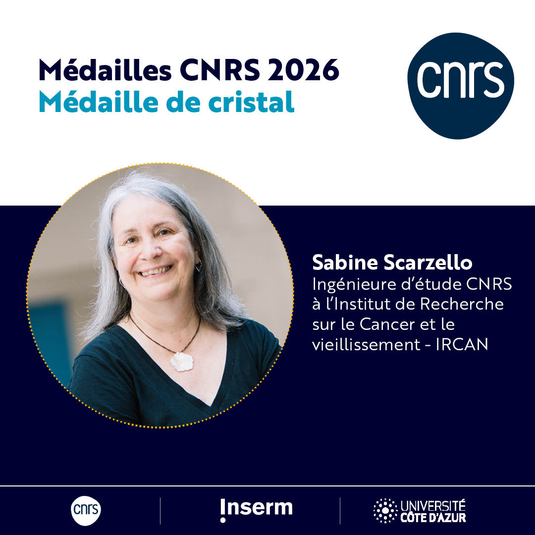 S Scarzello